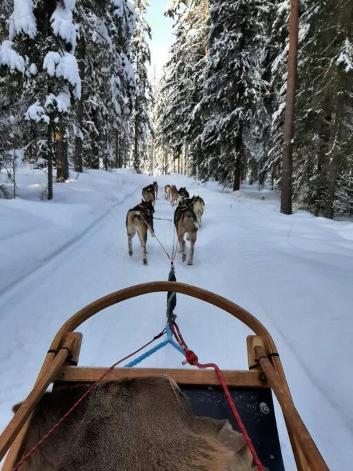 Moekki In Kalkkinen Lahtis